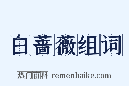 白蔷薇组词是什么意思的图片